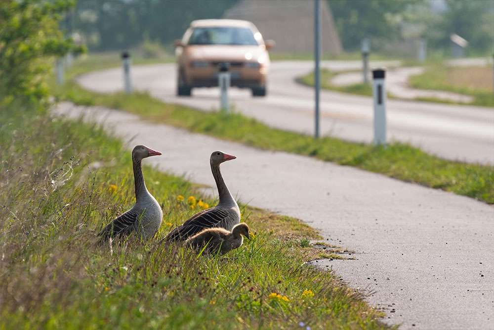The Environmental Impact of Asphalt: What are the facts?